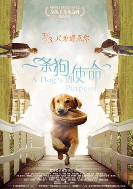 91爱爱小视频